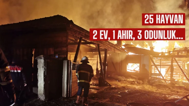 25 hayvan ve 2 ev yandı!