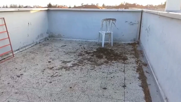 25 yıla kadar hapsi isteniyordu, tahliye edildi