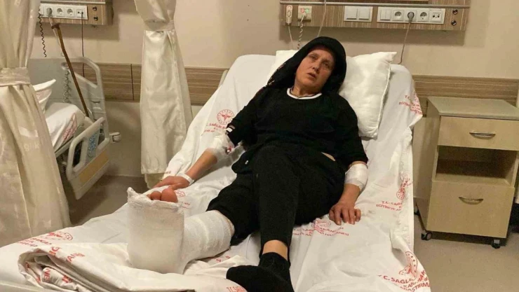 3 Köpeğin Saldırısına Uğradı