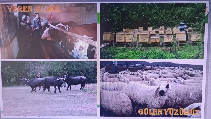 347 Orman Köylüsü Faizsiz Kredi Kullandı