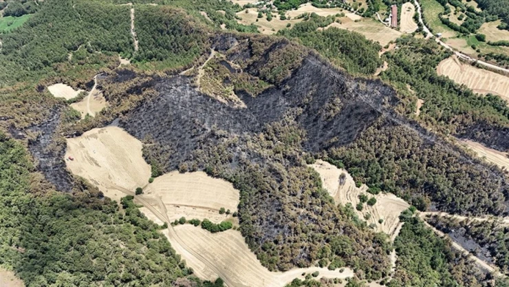 35 Hektarlık Alan Zarar Gördü