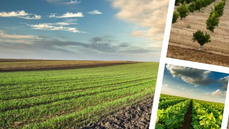 4,7 Milyon Dekar Atıl Alan Tarıma Kazandırıldı