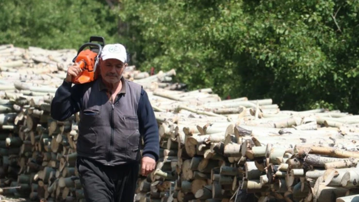 40 Yıldır Titrek Kavak Ormanına Emek Veriyor