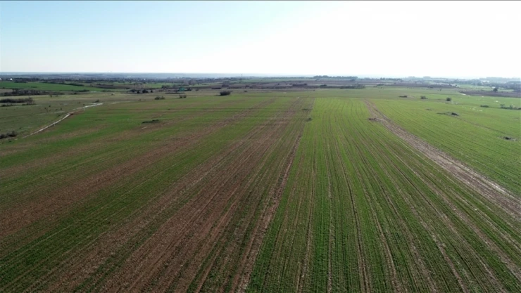 48,8 Milyon Metrekare Arazi Bitki Yetiştirilmek Üzere Kiralandı