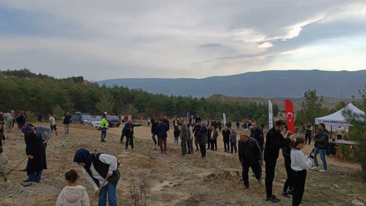 500 Fidan Toprakla Buluşturuldu