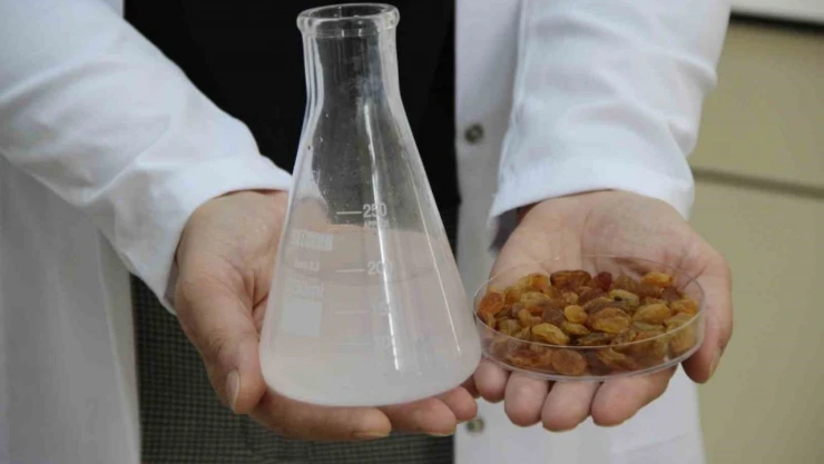 500 Milyon Dolarlık İhracata Bilimsel Kalkan