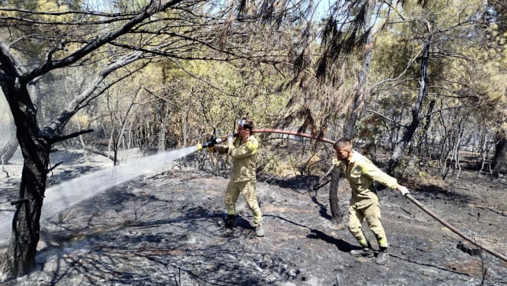 8 Dönüm Alan Zarar Gördü