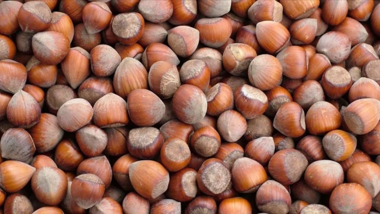 852 Milyon Doları Aşkın Gelir Sağlandı