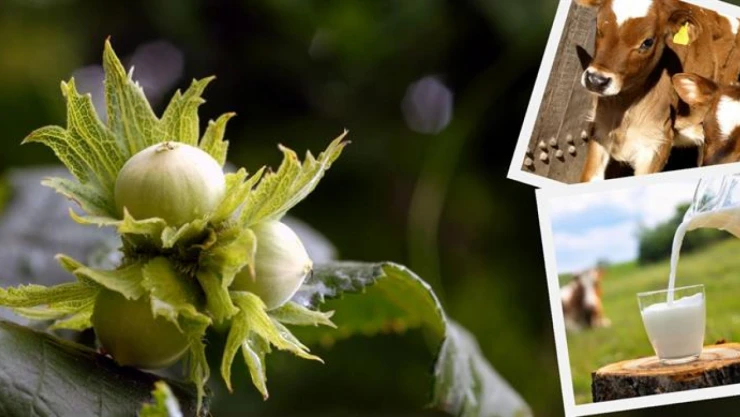 945 Milyon Liralık Destek Çiftçilere Aktarıldı