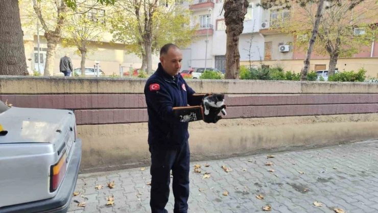 Kedi İtfaiyeyi Seferber Etti