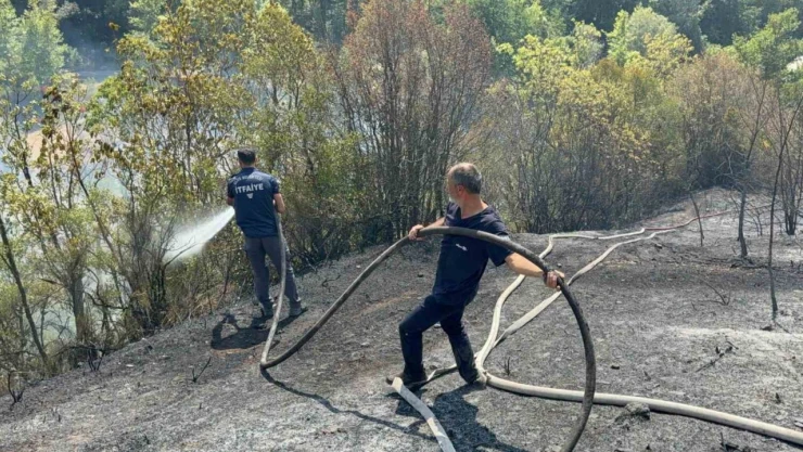 Ormanlık Alana Sıçrayan Yangın Kontrol Altına Alındı