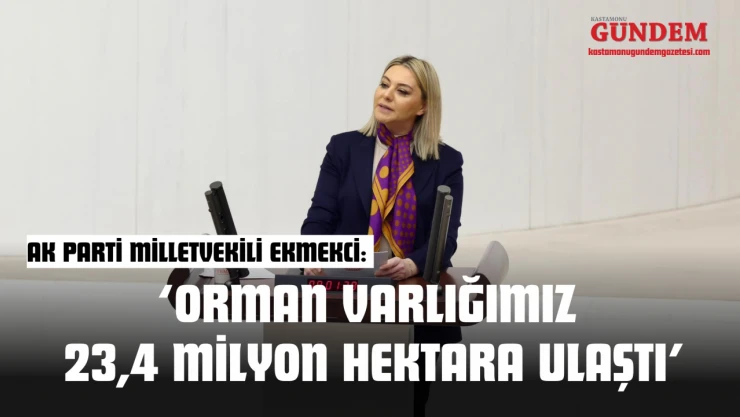 AK Parti Milletvekili Ekmekci: 'Orman Varlığımız 23,4 Milyon Hektara Ulaştı'