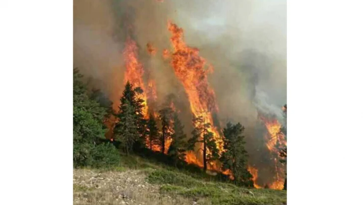 Aktekke Mahallesi'nde ot yangını korkuttu