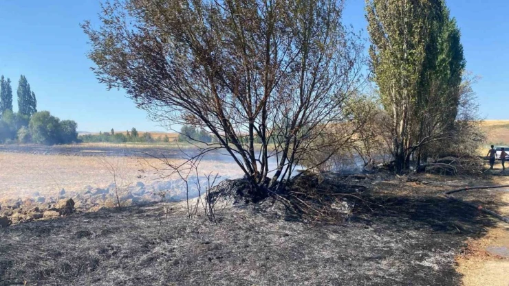 Anız Yangınında 5 Dönüm Arazi Zarar Gördü