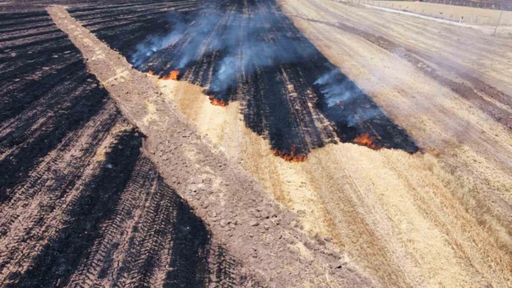 Alaca'da Anız Yangını: 70 Dönüm Arazi Kül Oldu