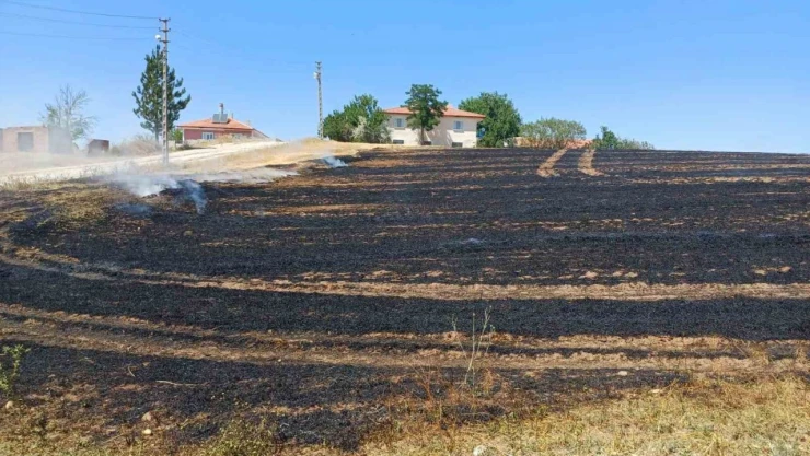 Alaca'da Anız Yangını