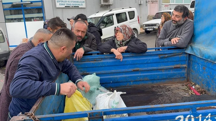 Alaplı'da Kuraklık Ve Gal Arısı İstilası