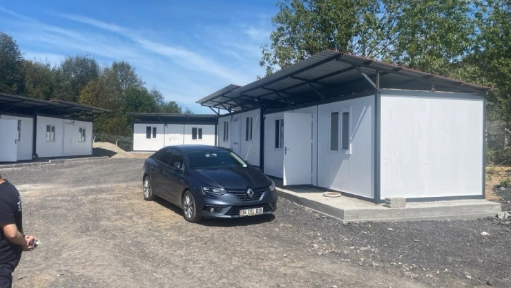 Alaplı'da Sahipsiz Hayvanlar Toplanıyor