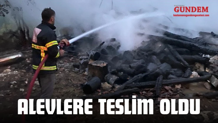 Alevlere Teslim Oldu