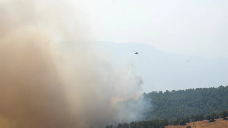Alevlerin Kontrol Altına Alınması İçin Gönüllüler De Destek Veriyor