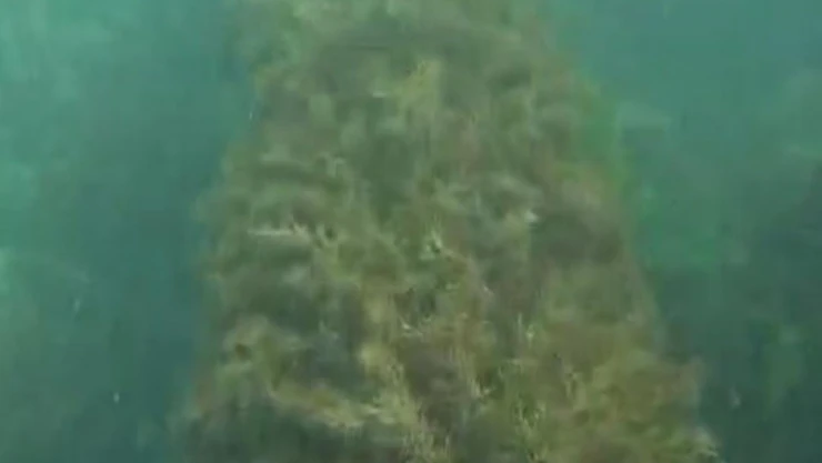 Amasra Belediyesi'ne 668 Bin TL Para Cezası Kesildi