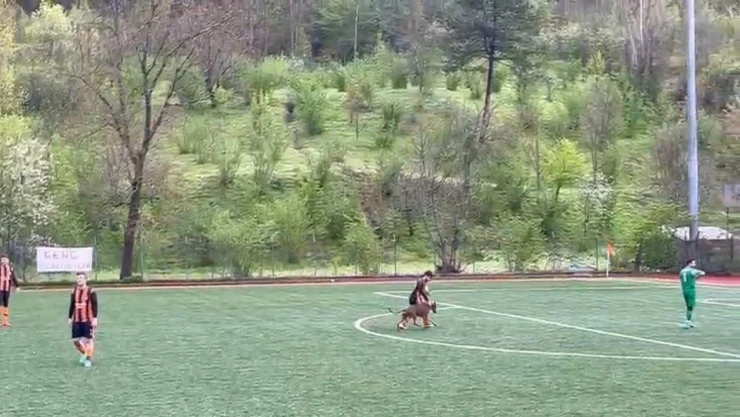 Amatör Maçta Sahaya Köpek Girdi