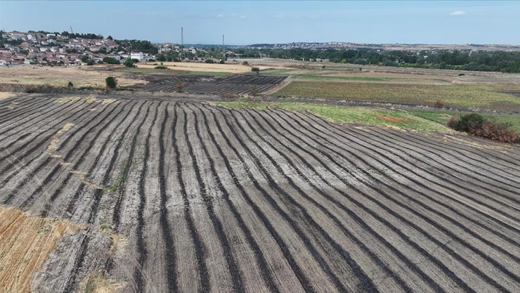 Anız Yakmak Canlı Yaşamını Yok Ediyor