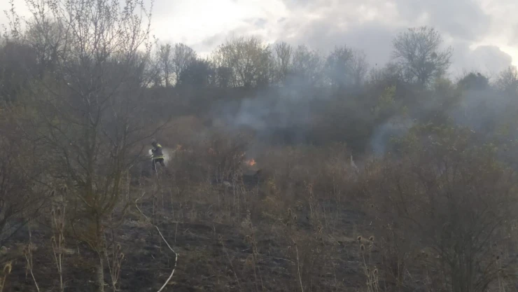 Anız yangını korkuttu