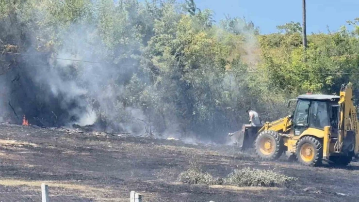 Anız Yangını Ormana Sıçramadan Söndürüldü