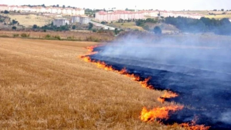 Anız yangınlarına karşı tebliğ yayımlandı