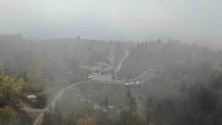 Yoğun Sis Altında Arama Sürüyor