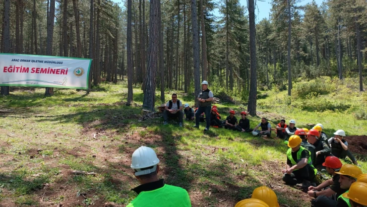 Araç'ta Silvikültür Eğitimi Verildi