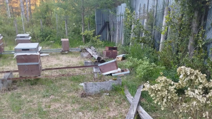 Arı Kovanlarını Parçaladı!