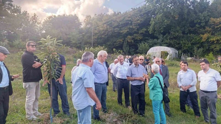 Kestane Balının Geleceğini Konuştular