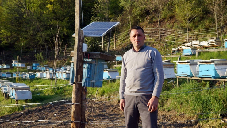 Arıları, ayılardan korumak için nöbete başladılar