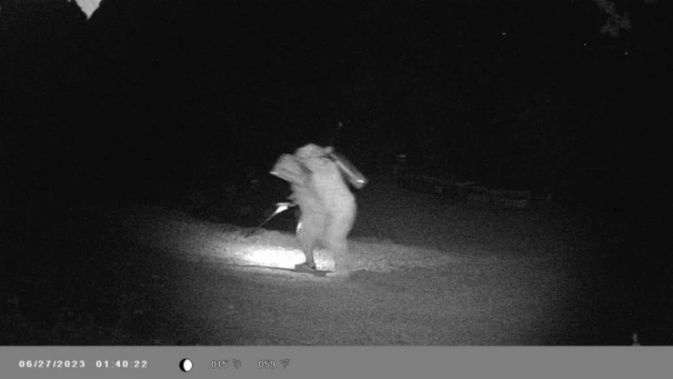 Arıları zehirlediler