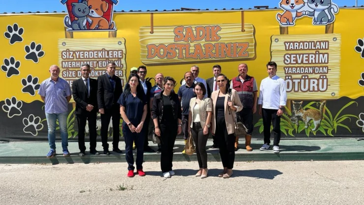 Artan yemekler sokak hayvanlarına bırakılıyor