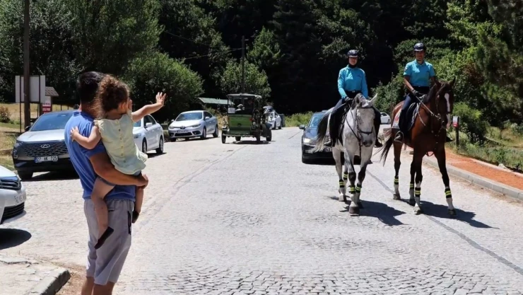 Jandarma Timleri Abant'ta Görev Başında