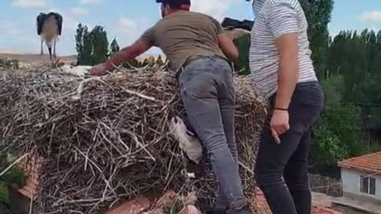 Ayağına İp Dolanan Leyleği İtfaiye Ekipleri Kurtardı