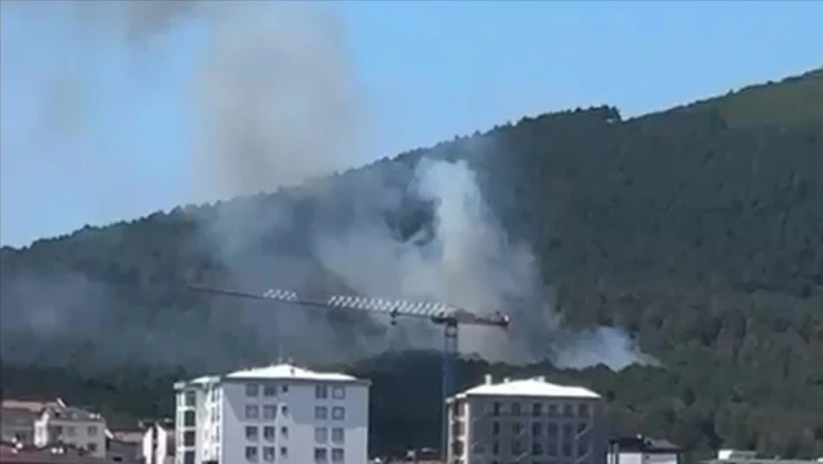 Aydos Ormanı'nda Yangın Çıktı