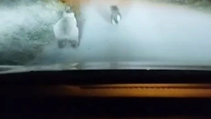 Ayılar bu kez Safranbolu sokaklarında