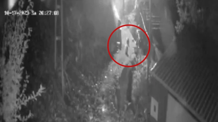 Ayıları torpil atarak korkuttular