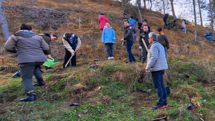 Azdavay'da Milli Ağaçlandırma Günü Kutlandı