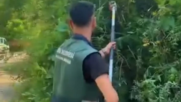 Bağ Yollarında Düzenleme Çalışması