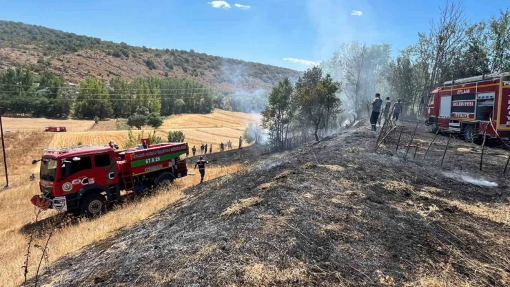Bahçe Yangını Evlere Sıçramadan Söndürüldü