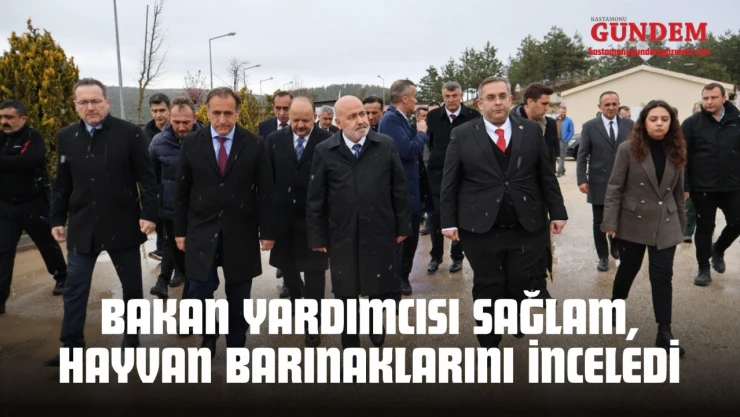 Bakan Yardımcısı Sağlam, Hayvan Barınaklarını İnceledi
