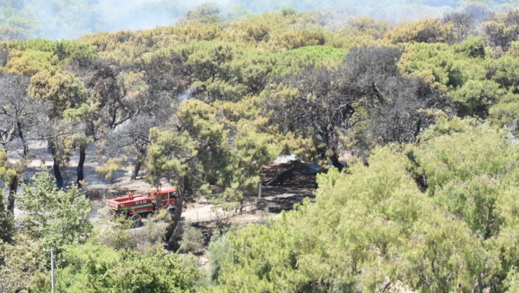 Bakan Yerlikaya, Yangın Bilançosunu Açıkladı