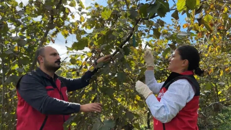 Bakan Yumaklı: '1Milyon 156 Bin Doğal Düşman Samuray Arısı Salımı Yaptık'