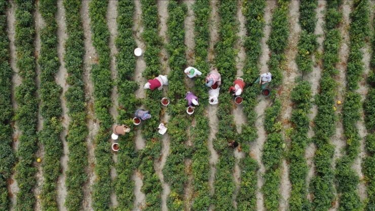 Bakan Yumaklı'dan Destek Müjdesi