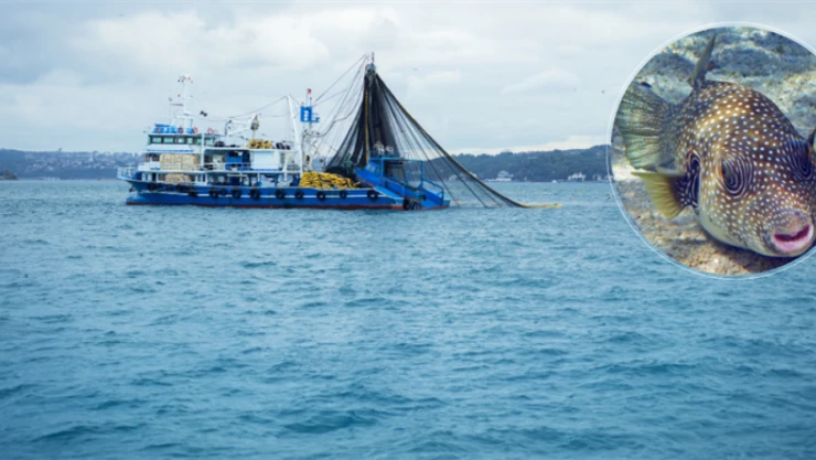 Bakan Yumaklı 'Destek Müjdesini' Verdi